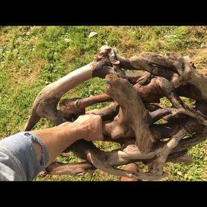 Magic Energy Wood. Jacob Wood. Holy Wood.